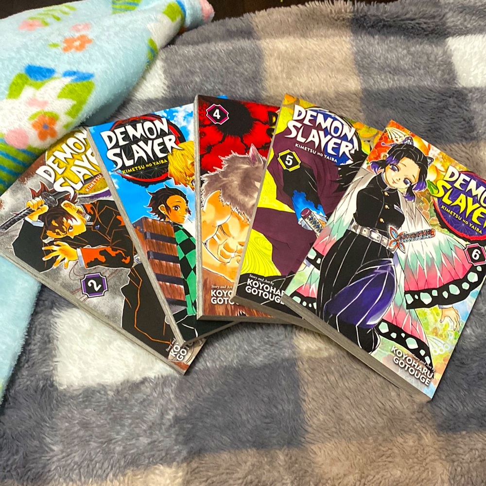 DEMON SLAY manga volume 2-6
